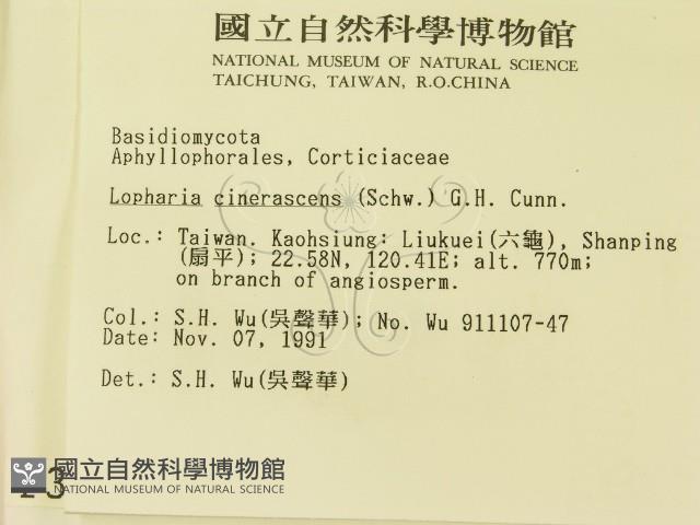 登錄號:F0003060藏品圖，第2張