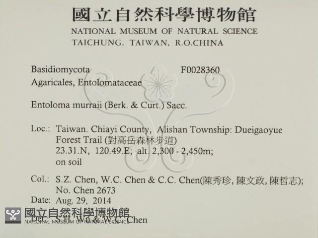 登錄號:F0028360藏品圖，第2張