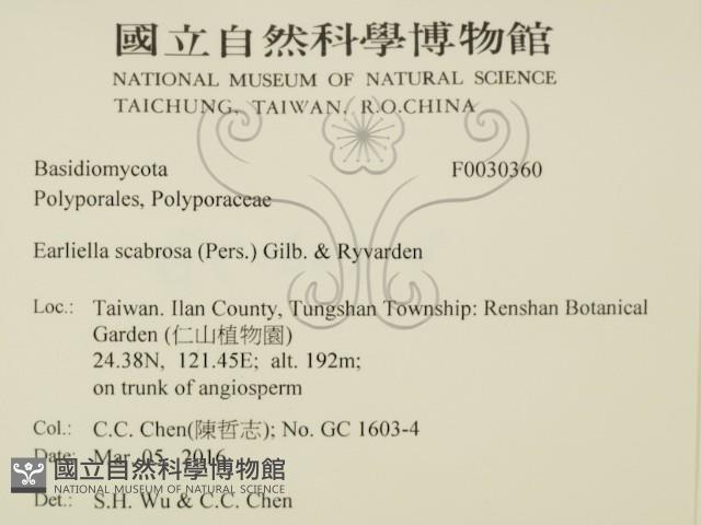 登錄號:F0030360藏品圖，第2張