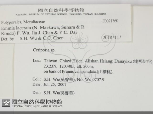 登錄號:F0021360藏品圖，第2張