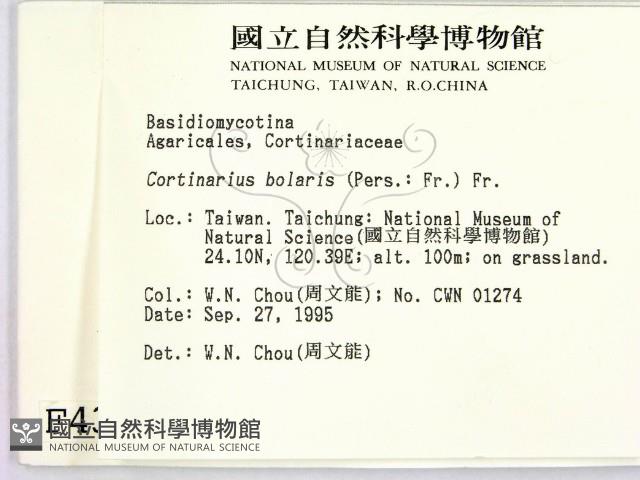 登錄號:F0004360藏品圖，第2張