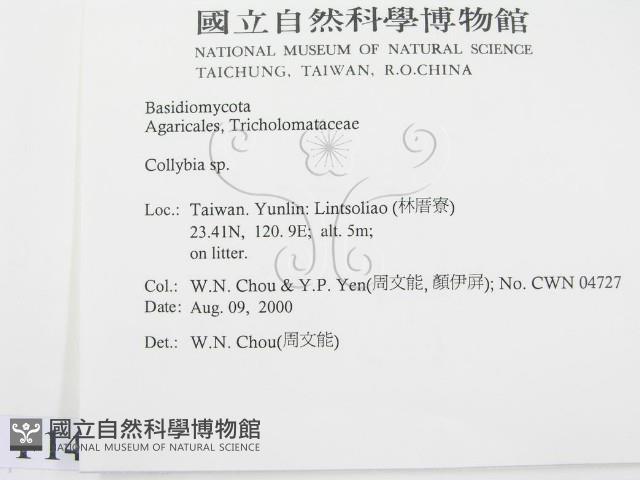 登錄號:F0014360藏品圖，第2張