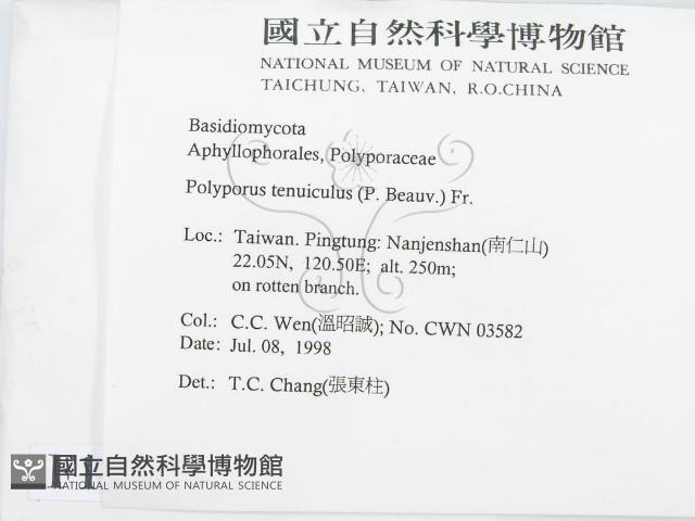 登錄號:F0012360藏品圖，第2張