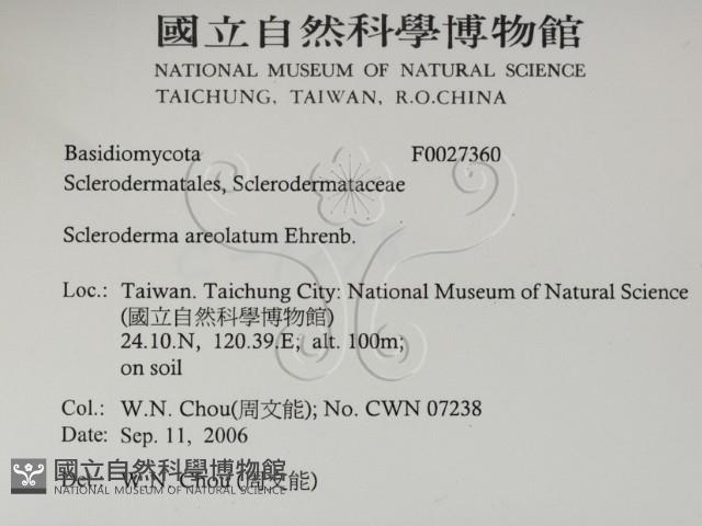登錄號:F0027360藏品圖，第2張