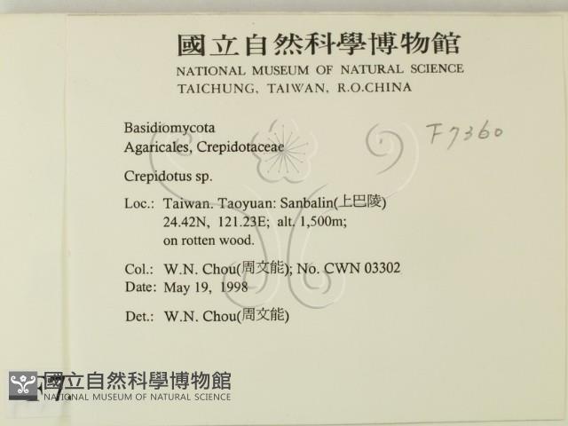 登錄號:F0007360藏品圖，第2張