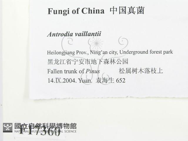 登錄號:F0017360藏品圖，第2張