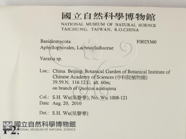 登錄號:F0025360藏品圖，第2張