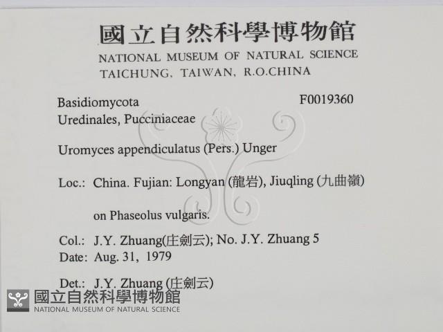登錄號:F0019360藏品圖，第2張