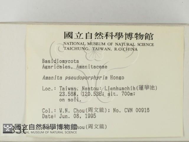 登錄號:F0003360藏品圖，第2張