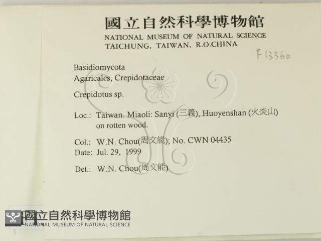 登錄號:F0013360藏品圖，第2張
