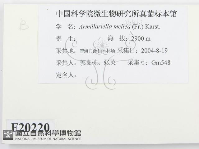 登錄號:F0020220藏品圖，第2張