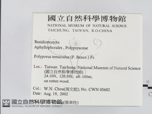 登錄號:F0016220藏品圖，第2張