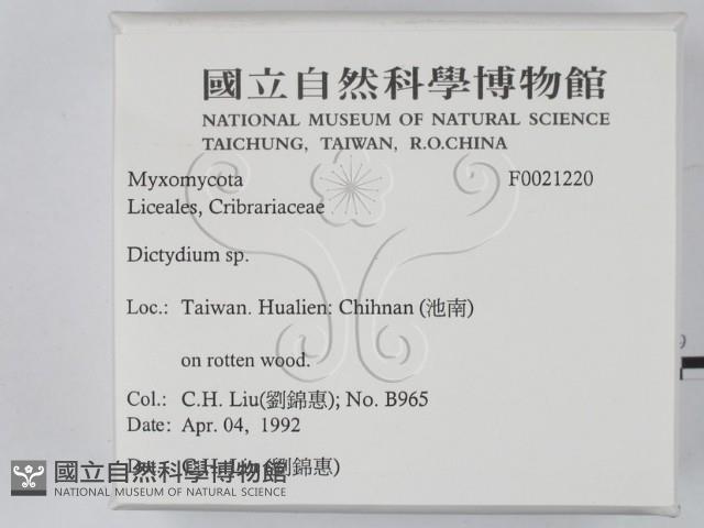 登錄號:F0021220藏品圖，第2張