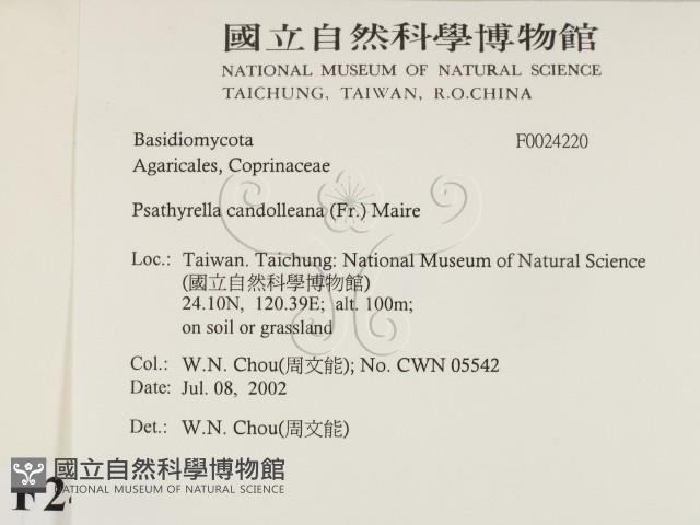 登錄號:F0024220藏品圖，第2張