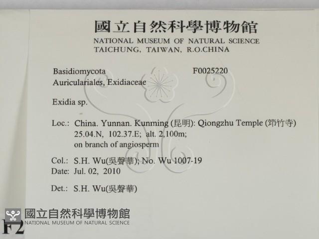 登錄號:F0025220藏品圖，第2張
