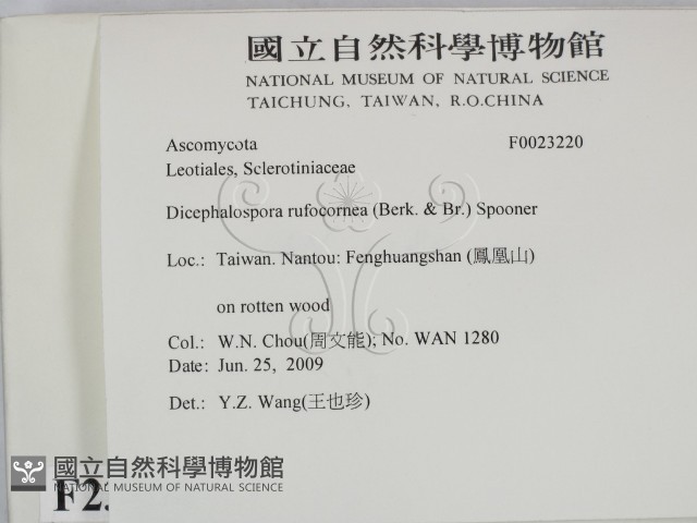 登錄號:F0023220藏品圖，第2張