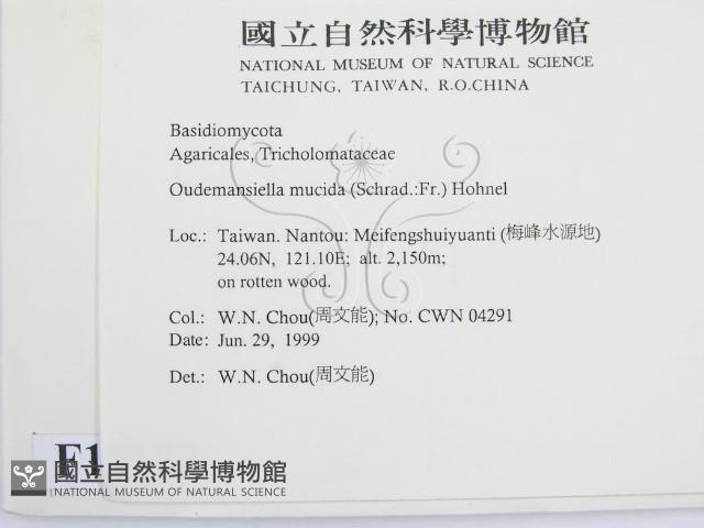 登錄號:F0013220藏品圖，第2張