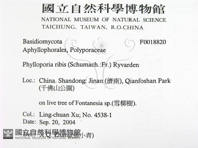 登錄號:F0018820藏品圖，第2張