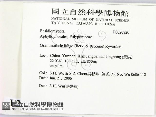 登錄號:F0020820藏品圖，第2張