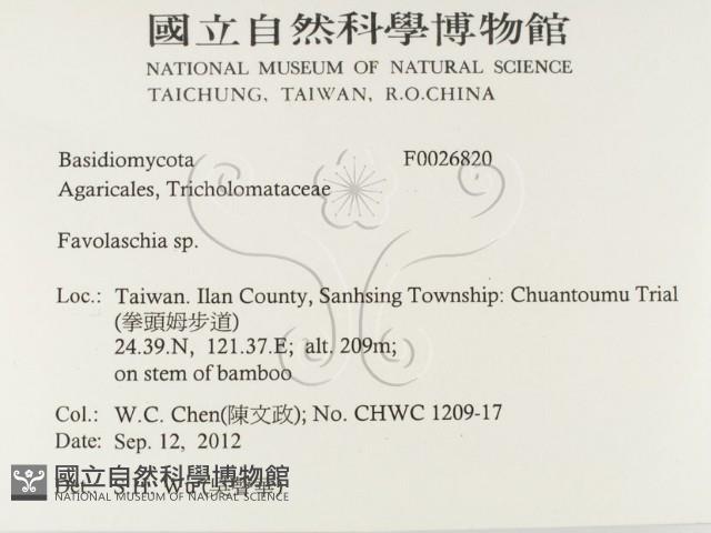 登錄號:F0026820藏品圖，第2張