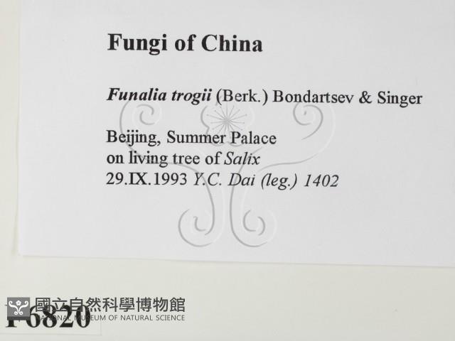 登錄號:F0006820藏品圖，第2張