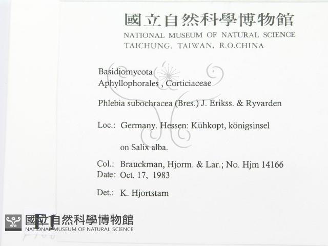 登錄號:F0016820藏品圖，第2張