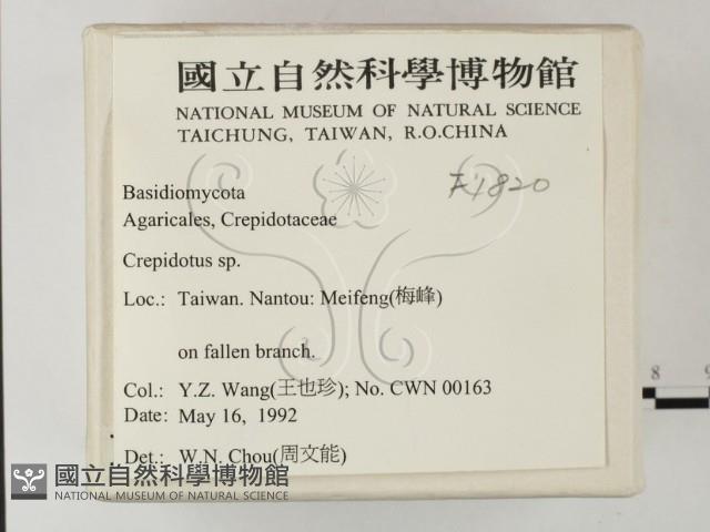 登錄號:F0001820藏品圖，第2張