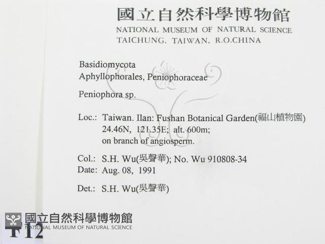 筍殼菌屬藏品圖，第2張