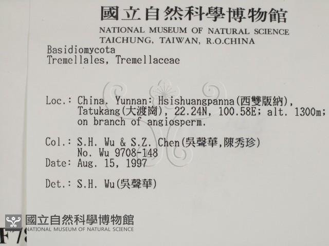 登錄號:F0007820藏品圖，第2張