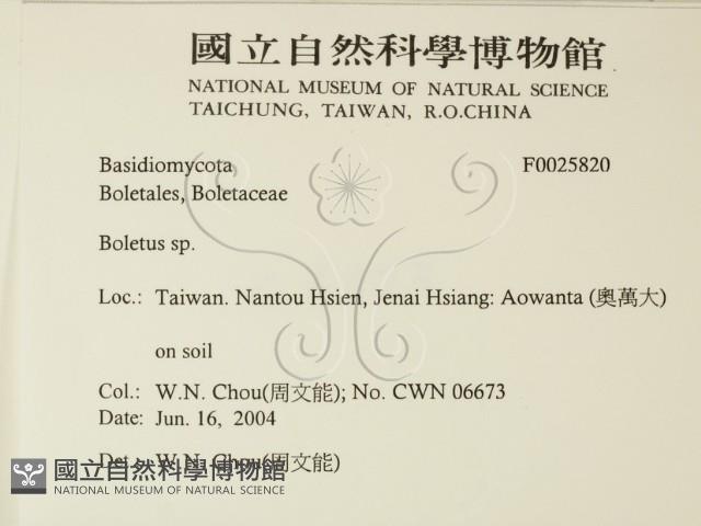 登錄號:F0025820藏品圖，第2張