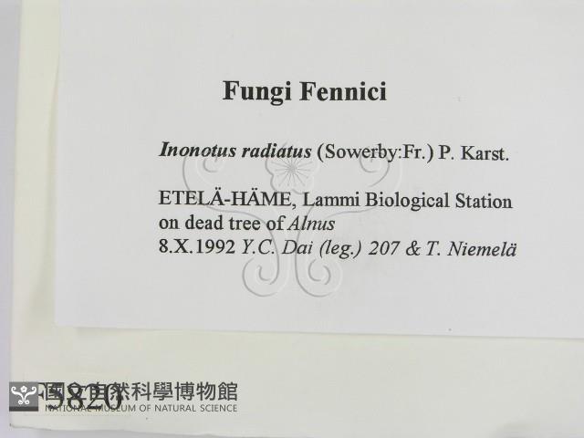 登錄號:F0005820藏品圖，第2張