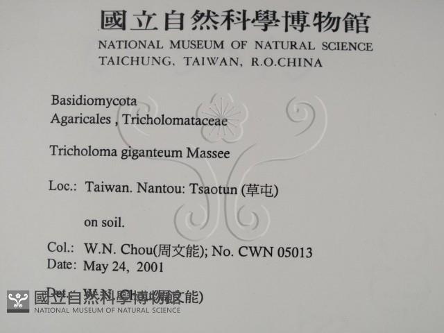 登錄號:F0015820藏品圖，第2張