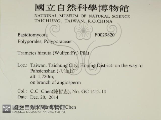 登錄號:F0029820藏品圖，第2張