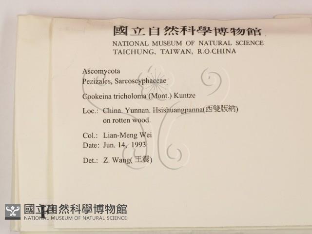 登錄號:F0009820藏品圖，第2張