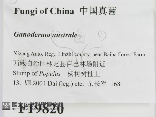 登錄號:F0019820藏品圖，第2張