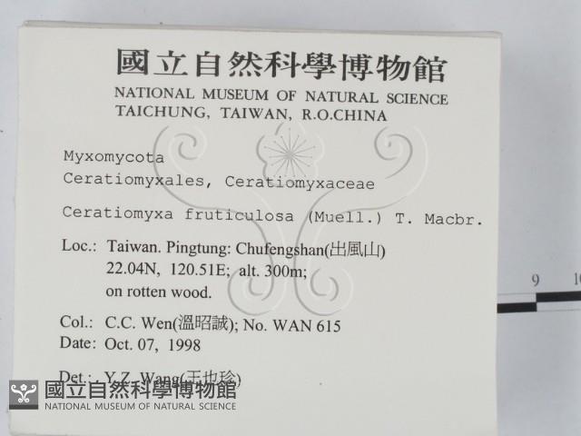 登錄號:F0008920藏品圖，第2張