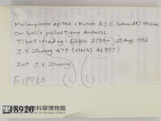 登錄號:F0018920藏品圖，第2張