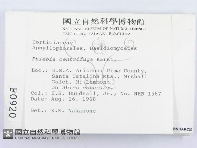 登錄號:F0000920藏品圖，第2張