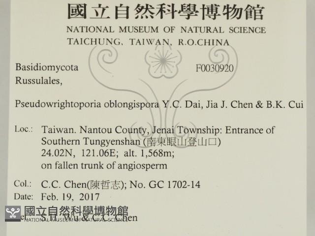 登錄號:F0030920藏品圖，第2張