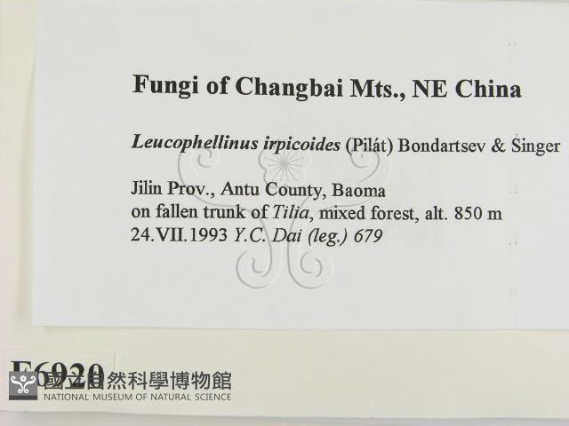 登錄號:F0006920藏品圖，第2張