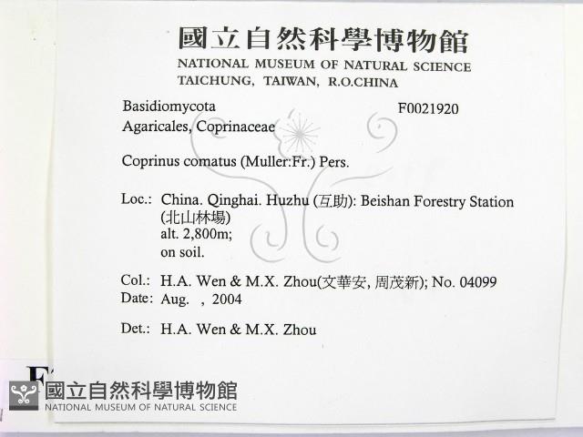 登錄號:F0021920藏品圖，第2張