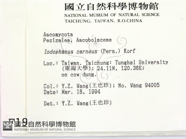 登錄號:F0001920藏品圖，第2張
