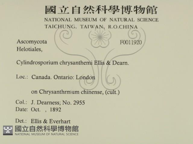 登錄號:F0011920藏品圖，第2張