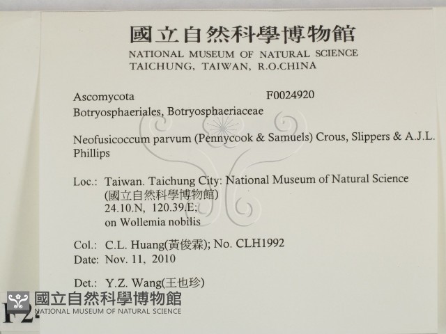 登錄號:F0024920藏品圖，第2張