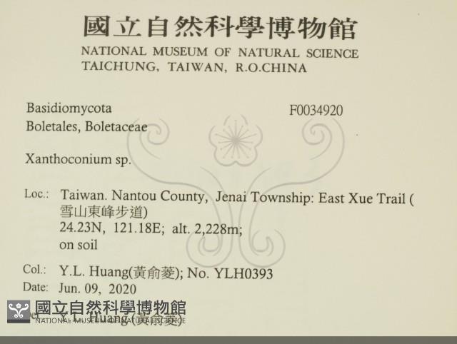 登錄號:F0034920藏品圖，第2張