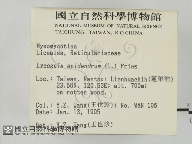 登錄號:F0002920藏品圖，第2張