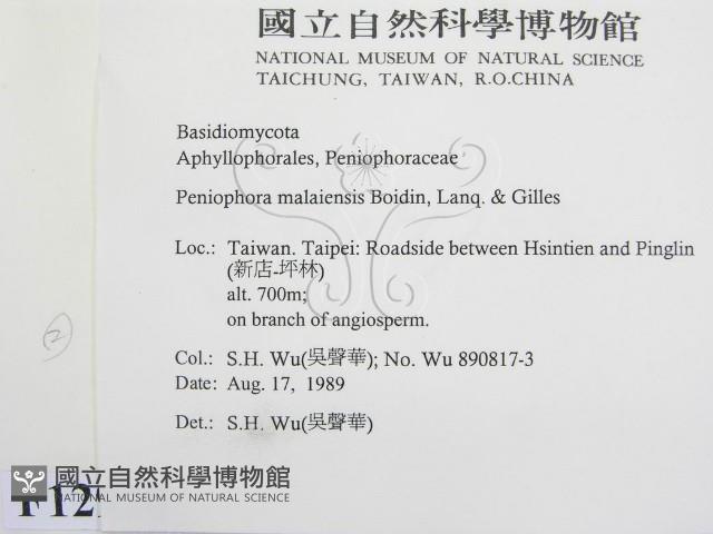 登錄號:F0012920藏品圖，第2張