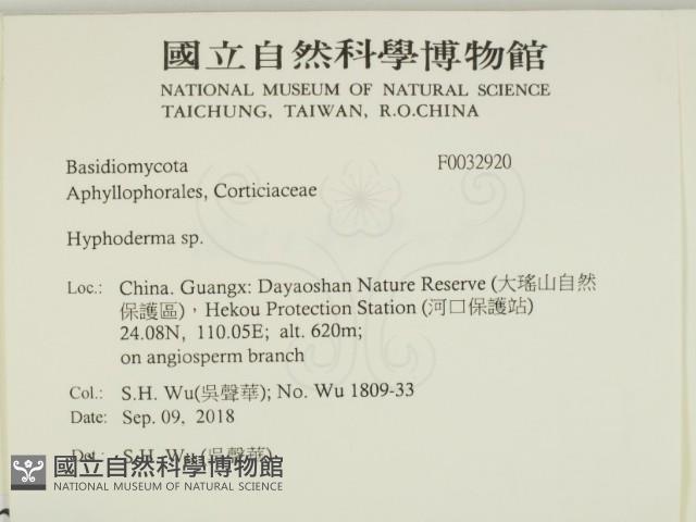 絲皮菌屬藏品圖，第2張