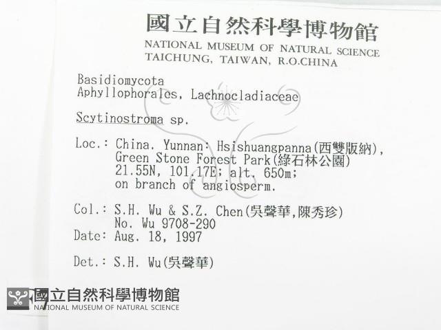 登錄號:F0007920藏品圖，第2張