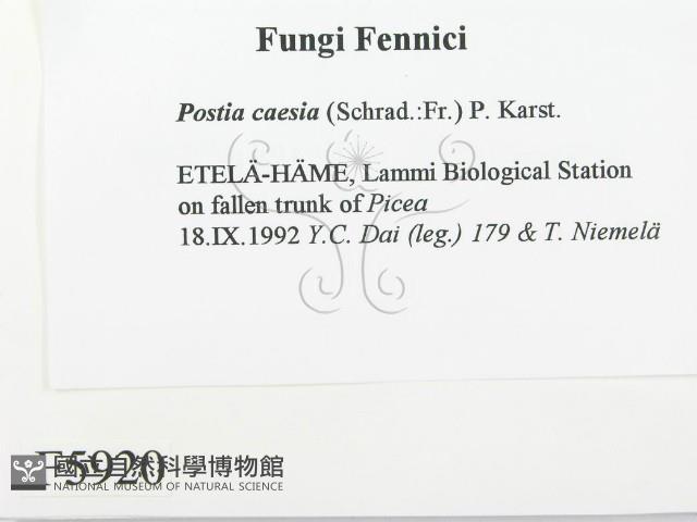 登錄號:F0005920藏品圖，第2張